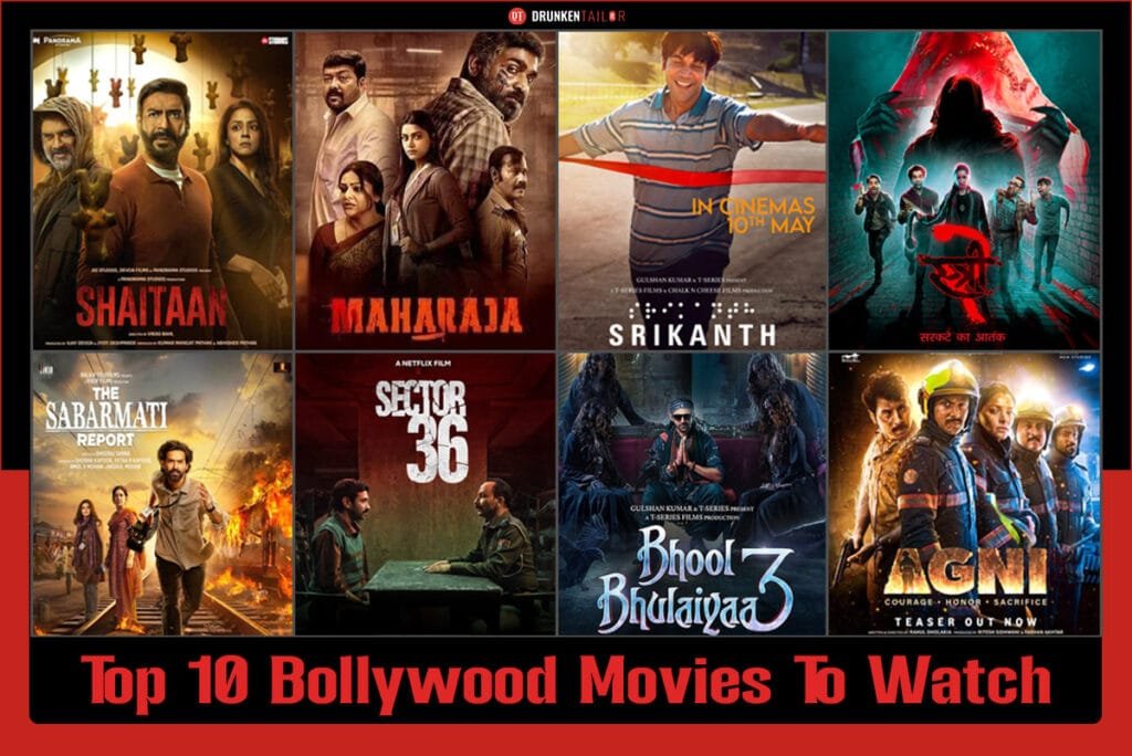 Top 10 bollywood movies of 2024 poster