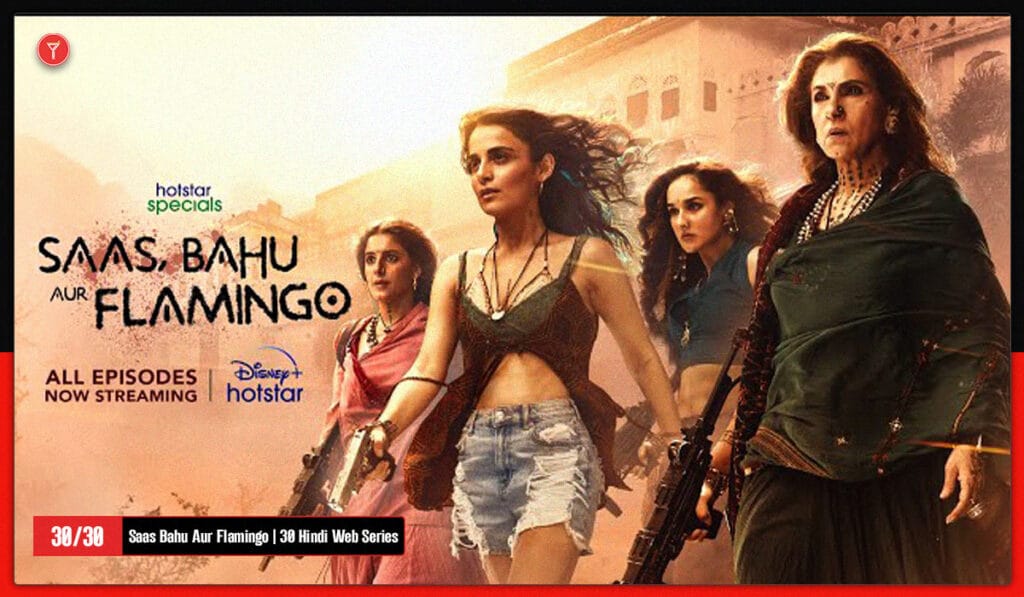 Saas Bahu Aur Flamingo is on 30th in the list of 30 Hindi Web Series to Watch In 2025